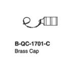 Quick Couplers 1701C
