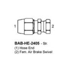 BAB-HE-2405-06-06