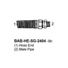 BAB-HE-SG-2404-06-04