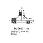 BJ-2603-06-06-06