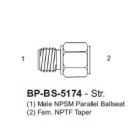 Brass BS5174