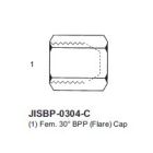 International Conversion JISBP0304