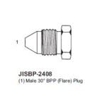 International Conversion JISBP2408