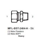 International Conversion MFLBST2404H