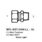 International Conversion MFLBST2404LL