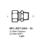 International Conversion MFLBST2404