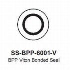 International Conversion BPP6001VO
