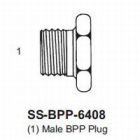 International Conversion BPP6408