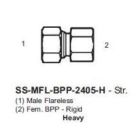 International Conversion SSMFLBPP2405H
