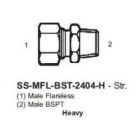 International Conversion SSMFLBST2404H