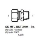 International Conversion SSMFLBST2404