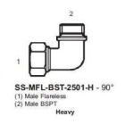 International Conversion SSMFLBST2501H