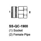 SS-QC-1900-06-06