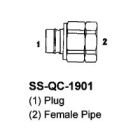 SS-QC-1901-06-06