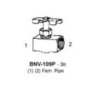 BNV-109P-02-02