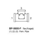 BP-5605-F-06-06-06