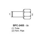 BPC-2405-06-06