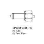 BPC-NI-2405-06-06