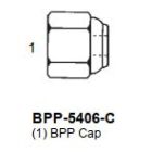 International Conversion BPP5406C
