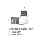 BPP-BST-5500-06-04