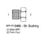 International Conversion BPPFP5406