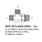 BPP-OFS-6804-06-06-06-NWO