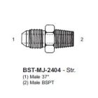 BST-MJ-2404-12-06