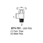 BTV-701-06-06