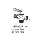 BV-402P-06-06
