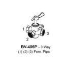 BV-406P-02-02-02