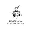 BV-407P-04-04-04