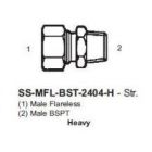 International Conversion SSMFLBST2404H