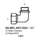 International Conversion SSMFLBST2501