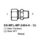 International Conversion SSMFLMP2404H